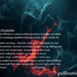 Cover image GAN prompts: Visualizing RSS/PFI comparison & High Court's quashing of FIRs.