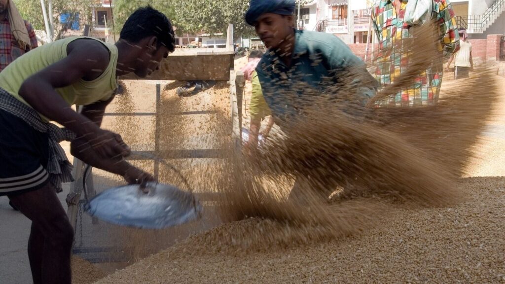rice ethanol economics