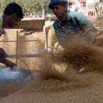 rice ethanol economics