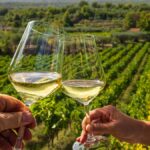 Will European Wine Prices in India Drop? EU-India Trade Deal Insights