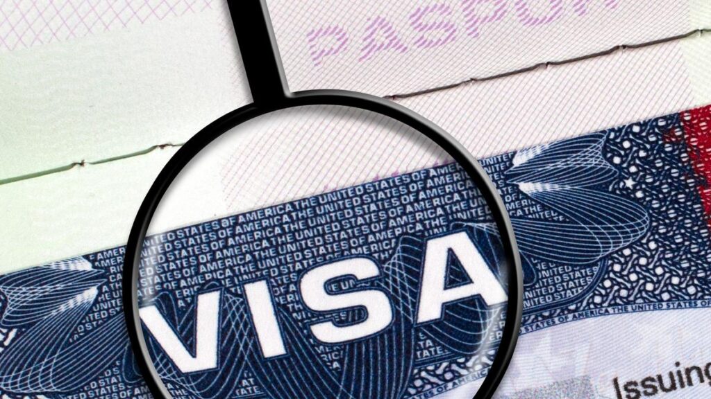 what is a visa